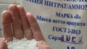 ДЫНЯ ТОРПЕДА МИРЗАЧУЛЬСКАЯ - САМАЯ АРОМАТНАЯ И СЛАДКАЯ ДЫНЯ ВЕСОМ ДО 15 КГ