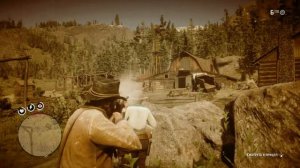 RDR 2 Миссис Сэди Адлер, вдова - часть 2 на золото (глюк)