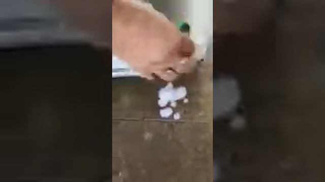 Быстро очищает белую обувь смотреть онлайн