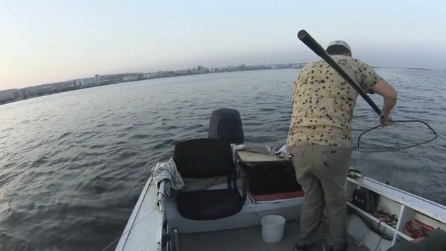 Рыбалка на сома с квоком смотреть онлайн