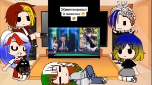 реакция стран на рандомные видео из тт