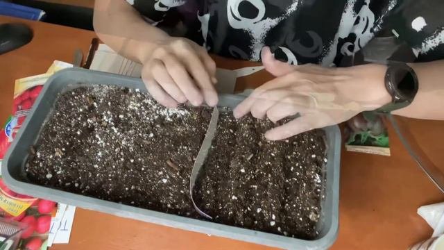 Два способа посадки семян на рассаду, которые я применяю.
