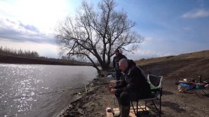Рыбалка в кругу друзей. Москва река. Пахра река. Вновь лещ. Встреили добрую собаку. Панамафиш #8