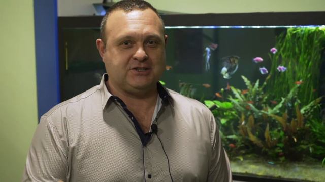 Стих-поздравление для именинника. смотреть онлайн