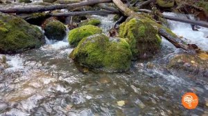 3 республики Кавказа