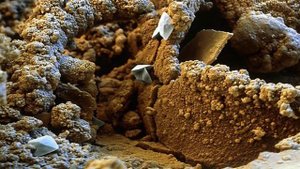 Фотографии под микроскопом - Интересные факты