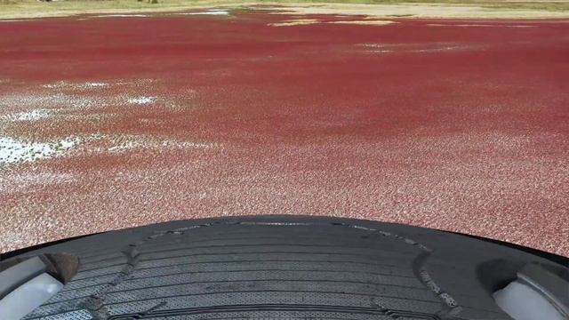 "И на Марсе будут яблони цвести..." (видео версия с тарелками)