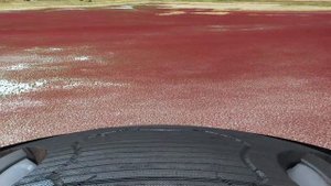 "И на Марсе будут яблони цвести..." (видео версия с тарелками)