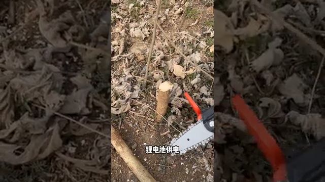 Small Cordless Chainsaw