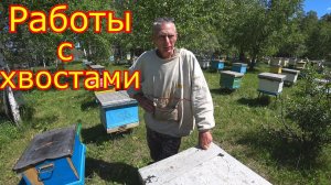 Работа с хвостами. Облёт маток. Двухматочное содержание