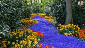 Я БЕЖАЛ К ТЕБЕ НАВСТРЕЧУ- МИХАИЛ КАРМАШ.