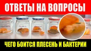 Ответы на вопросы. Чего боится плесень и бактерии. Хранение в банках