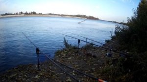 Рыбалка на Оке #рыбалка #ока #фидер #гидроузел #дединово