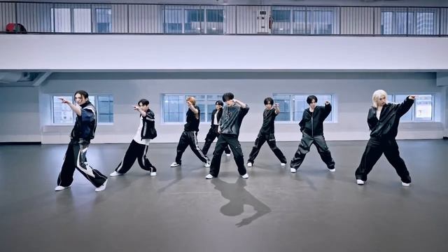 STRAY KIDS- "LOSE MY BREATH" Dance Practice Mirrored смотреть онлайн