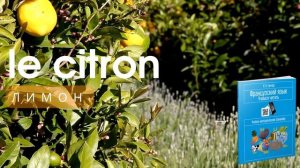 Название фруктов на французском языке