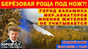 Балашиха. Берёзовая роща под нож?! Мкр. Авиаторов. Мнение жителей не учитывается. Юров С.Г.