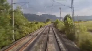 Animals Hit By Train | Compilation Videos | Animals Vs Train |