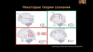 Константин Анохин "Сознание в нейронных гиперсетях"