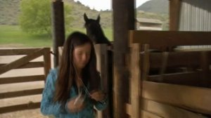 ФЛИКА-ИСТОРИЯ ЛОШАДИ/FLICKA-HORSE STORY/ЛОШАДЬ ФЛИКА/ Flicka Pferd/Flicka: Pferdegeschichte