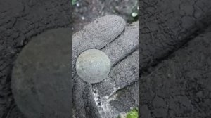 Коп по старине. Копаю с Gold hunter frogman b75