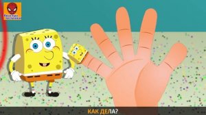 Семья пальчиков ГУБКА Бейби | Sponge Baby Finger Family in Russian