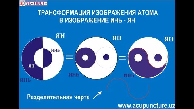 Инь Ян. Акупунктура. Иглотерапия. www.acupuncture.uz смотреть онлайн