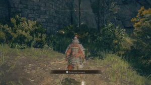 Где Взять Коня и Найти Первую Карту - ELDEN RING #1