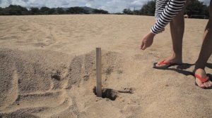 Garrett sea hunter mark 2 против Minelab Excalibur 2. Часть первая. Treasure Hunters / Кладоискател