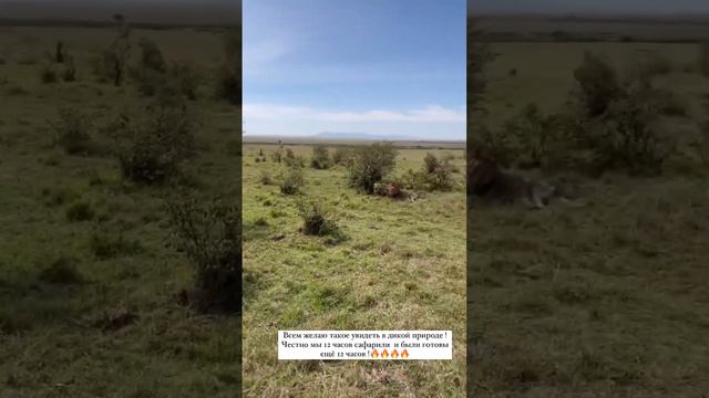 #мощный #путешествия #travelyoutube #африка #kenia #кудапоехатьотдыхать