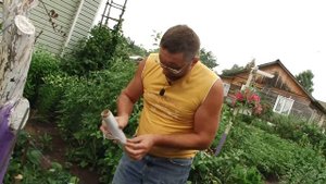 Как убрать пень с участка