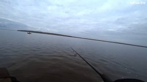 Рыбалка на р. Кама. Неожиданный Судак и увесистая Щука