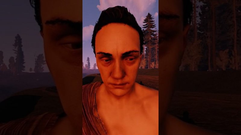 Типичная «история» ютуберов  #френдли #rust #раст
