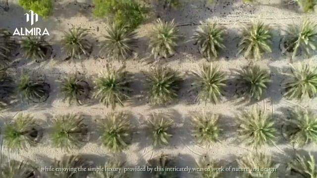 Al Jurf - Ghantoot смотреть онлайн