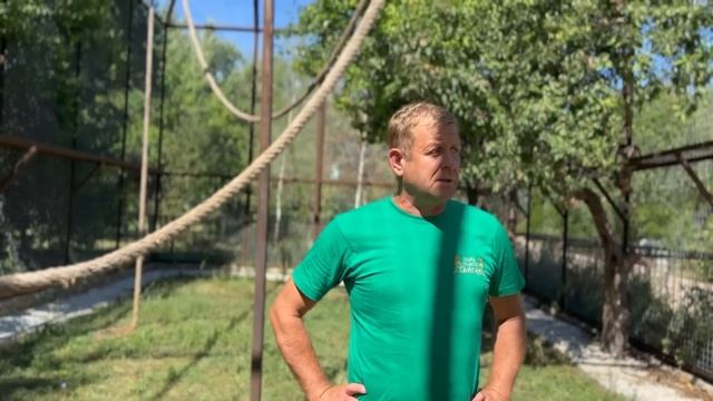 УРА! Люсю, Степку и Маняшку переселили в новый ОГРОМНЫЙ ВОЛЬЕР вместе)))