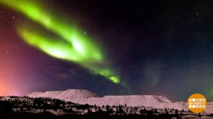 Куда поехать на Новый год? Доброе утро. Фрагмент выпуска от 08.12.2023