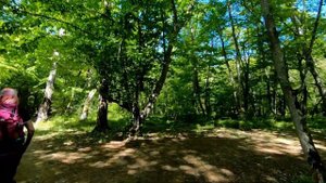 В САМУРСКИЙ ЛЕС ПЕШКОМ Ч.1. Хтун-Казмаляр- Бильбиль-Казмаляр- Приморский- Рыбоводный завод .