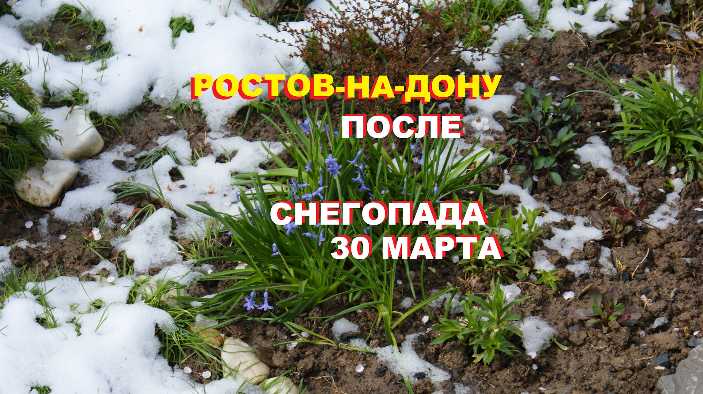 Ростов-на-Дону после снегопада 30 марта
