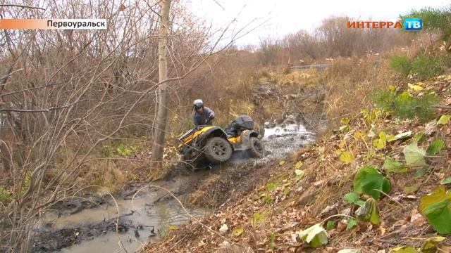 День автомобилиста 29 10 18 смотреть онлайн