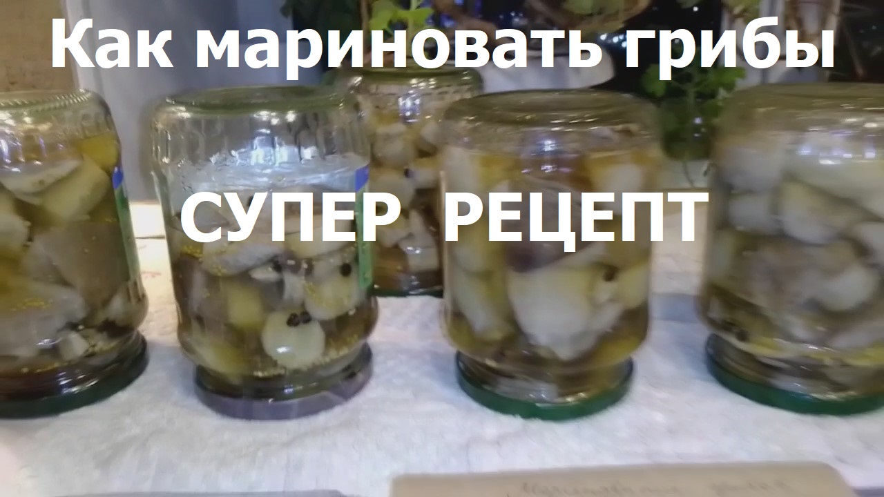 КАК МАРИНОВАТЬ ГРИБЫ - СУПЕР РЕЦЕПТ !!! Сезон грибов продолжается .