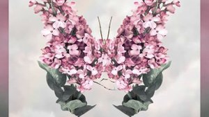 Музыкальная периферия – Реквием