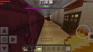 Null boss fight but in Minecraft (BRUH)