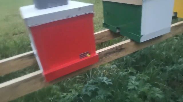 Простой способ избежать слёта нуклеусов смотреть онлайн