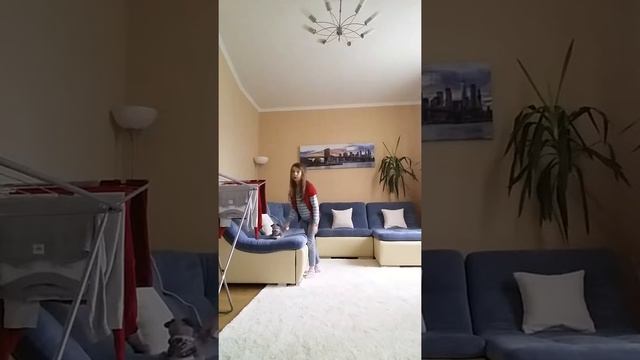 Как приучить собаку ходить в туалет смотреть онлайн