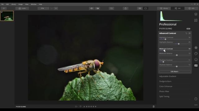 Editing Macro Photography / QUICK and POWERFUL / Luminar 4 / You don’t need Lightroom смотреть онлайн