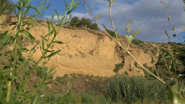 В г. Зеленокумск был найден скелет древнего носорога (Эласмотерия) об этом свидетельствуют факты. смотреть онлайн