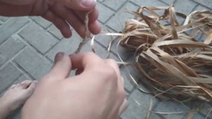 ВЕРЕВКА ИЗ ДЕРЕВА В ЛЕСУ!КАК!?BUSHCRAFT