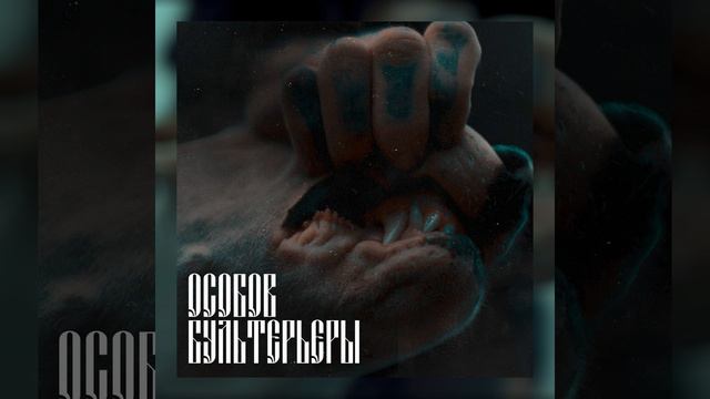 БУЛЬТЕРЬЕРЫ