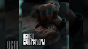 БУЛЬТЕРЬЕРЫ