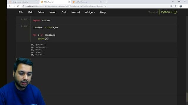 Important Python Functions - Zip, Unzip, Shuffle Datasets for Machine Learning!