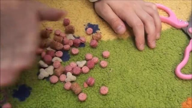 ПОКУПКИ ДЛЯ ШИНШИЛЛЫ - У шиншиллы снова PARTY - Уход и содержание шиншилл